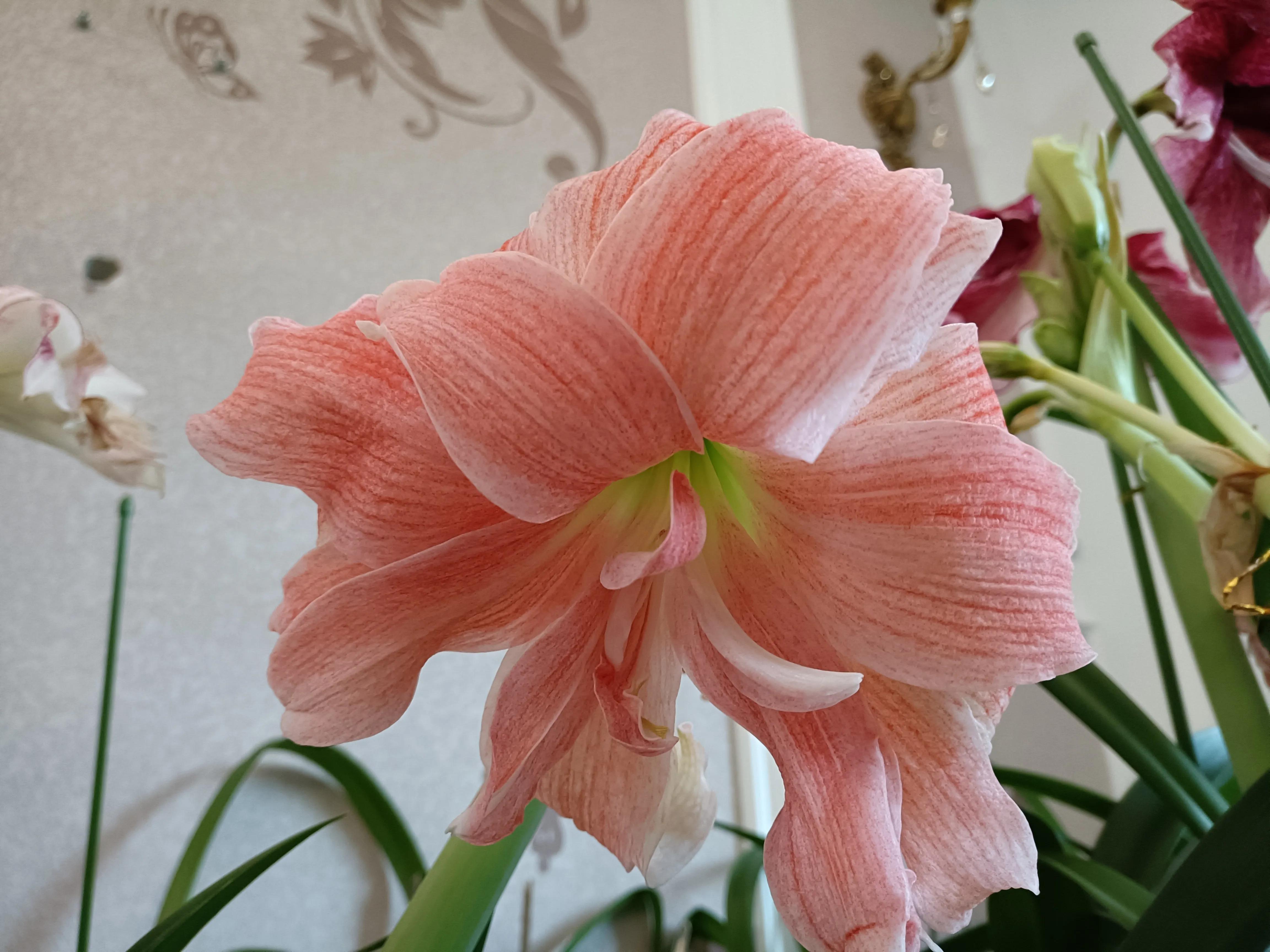 西安200平婚房、80万宝马车嫁女，8年恋爱3个月离婚，到底因为啥