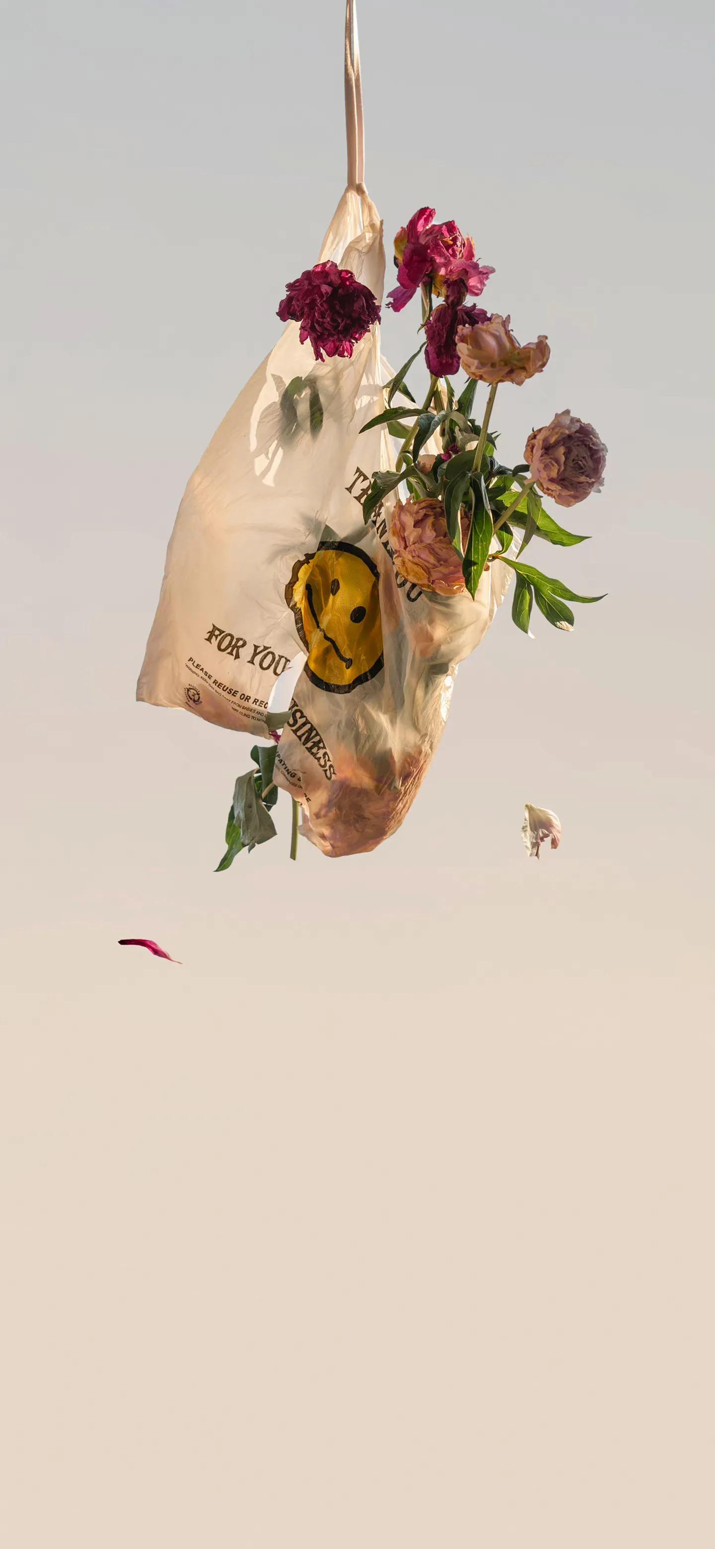 wechat氛围感手机壁纸,wechat背景图片素材