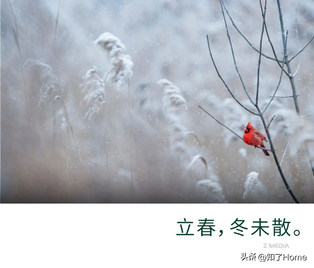 红星美凯龙收购最新进展,国资委收购红星美凯龙是好事吗