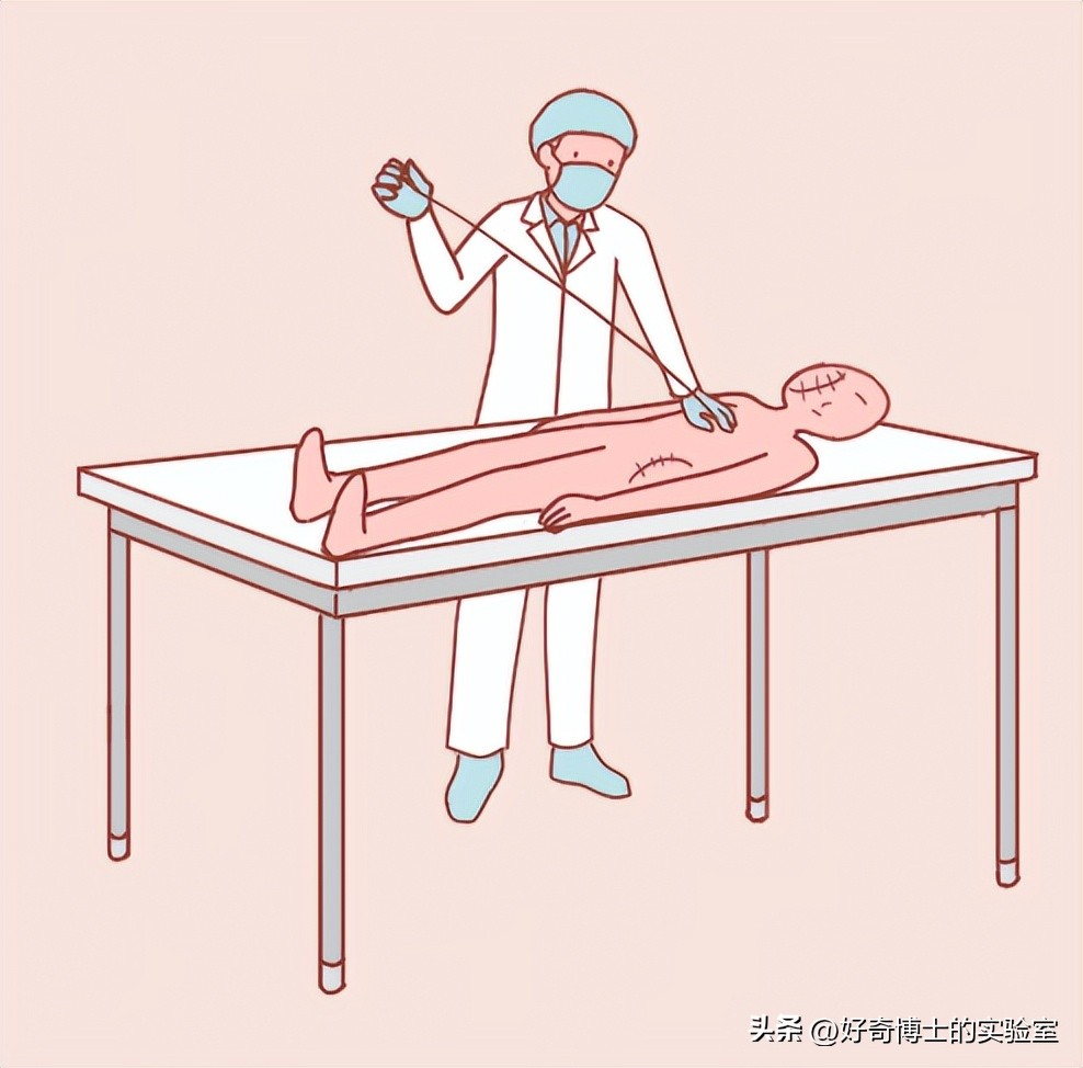 沉浸式体验死囚的最后24小时,尸体火化的真实故事