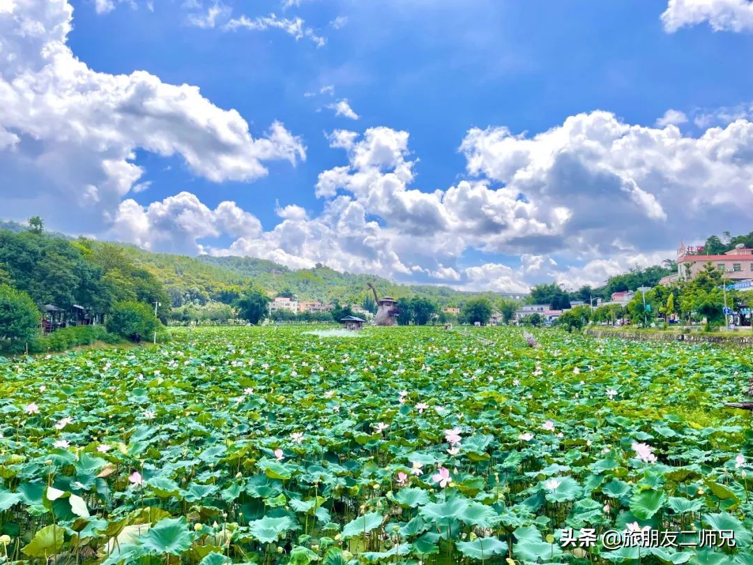 花都红山村自由行攻略,广州花都公园旅游攻略