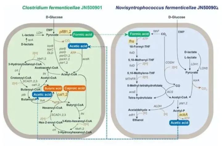 都是粮食为什么酿造的酒不同,都是粮食酒为什么价格区别那么大
