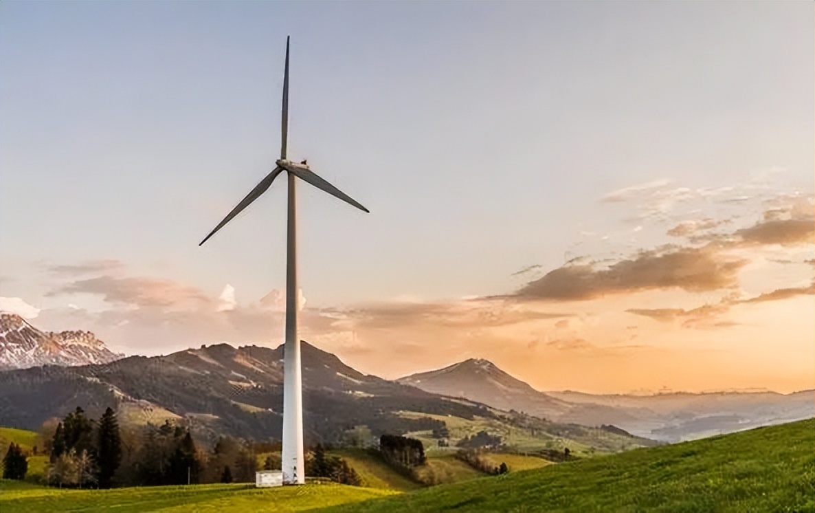 WhitmanControls——致力于提供优质、可靠、技术先进的仪表