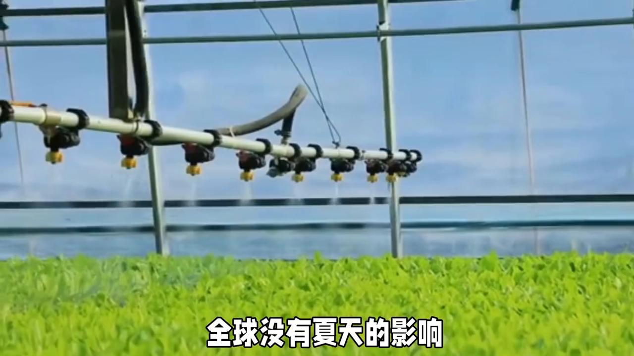 纽约是怎么快速发展的,在纽约如何成为亿万富豪