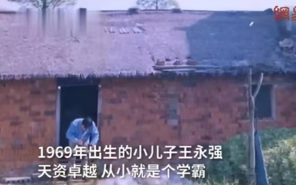 北大博士后出国失联20年完整版,北大博士后流落美国