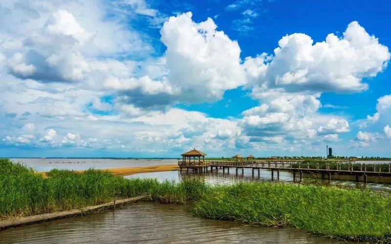 鏃跺厜浜ら敊鏈楄,鏃跺厜浜ょ粐