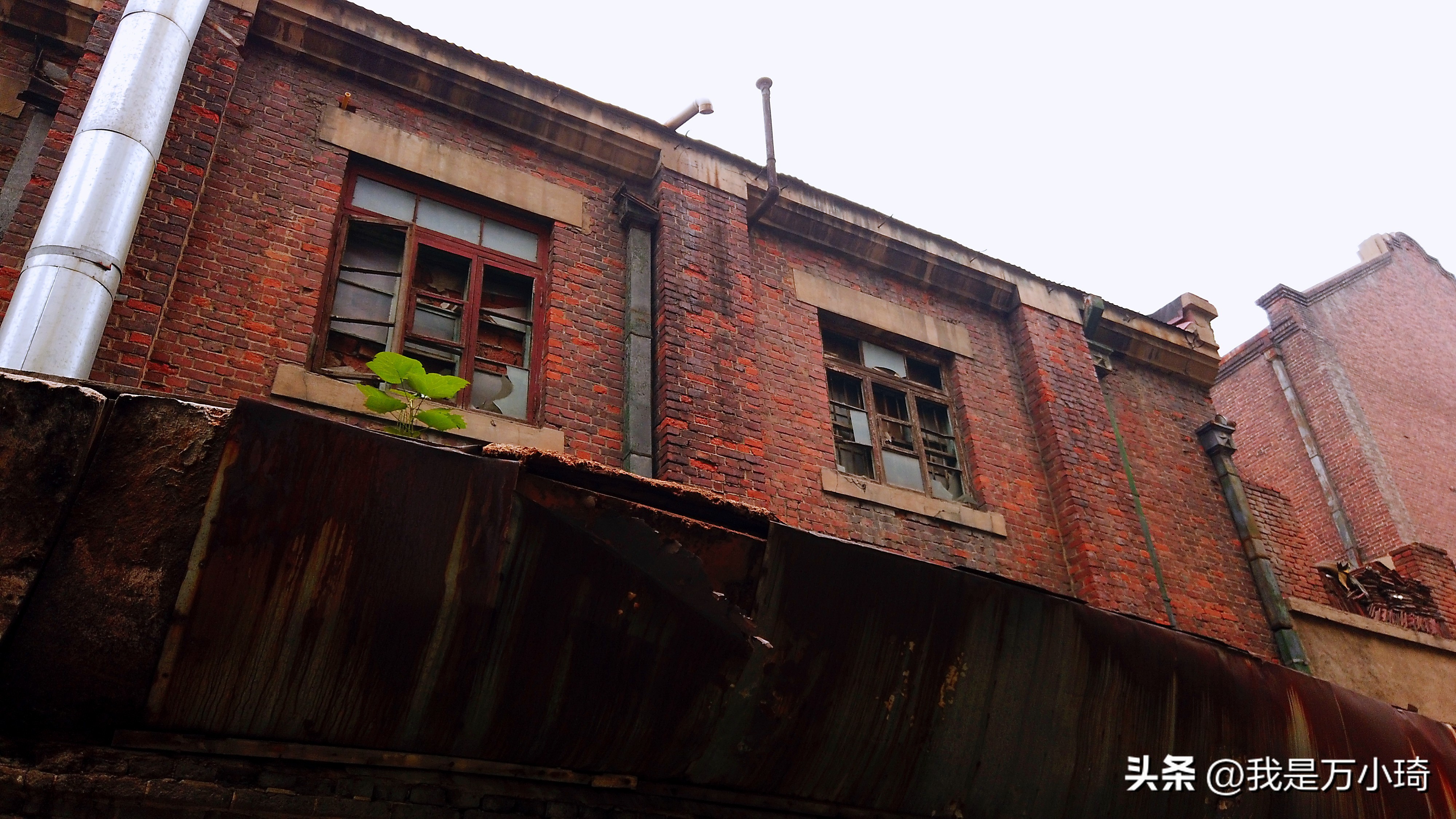 沈阳的豪华宾馆,沈阳比较金碧辉煌的酒店