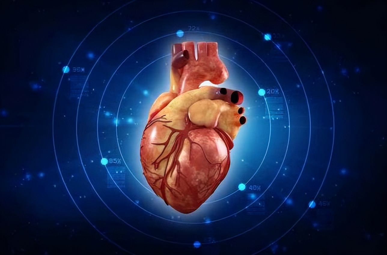 年过50体检该查啥,50岁体检必须要做哪几项检查