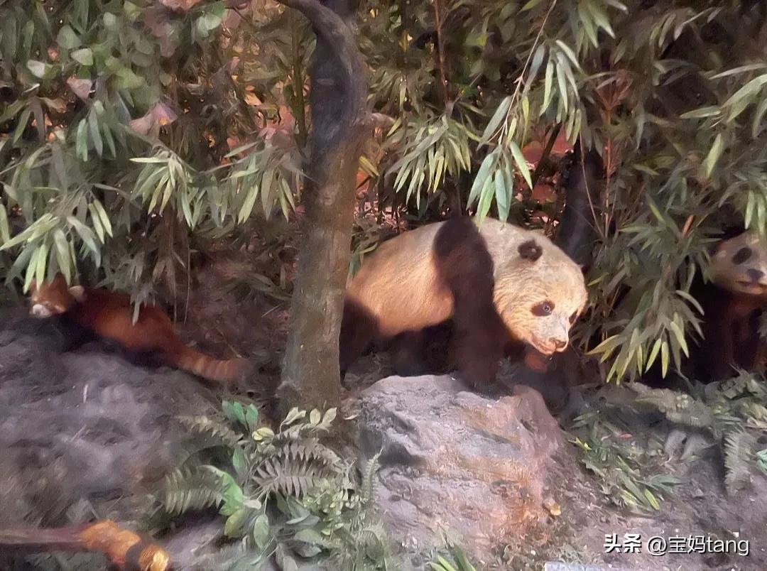 上海科技馆游玩全攻略,上海科技馆儿童馆攻略