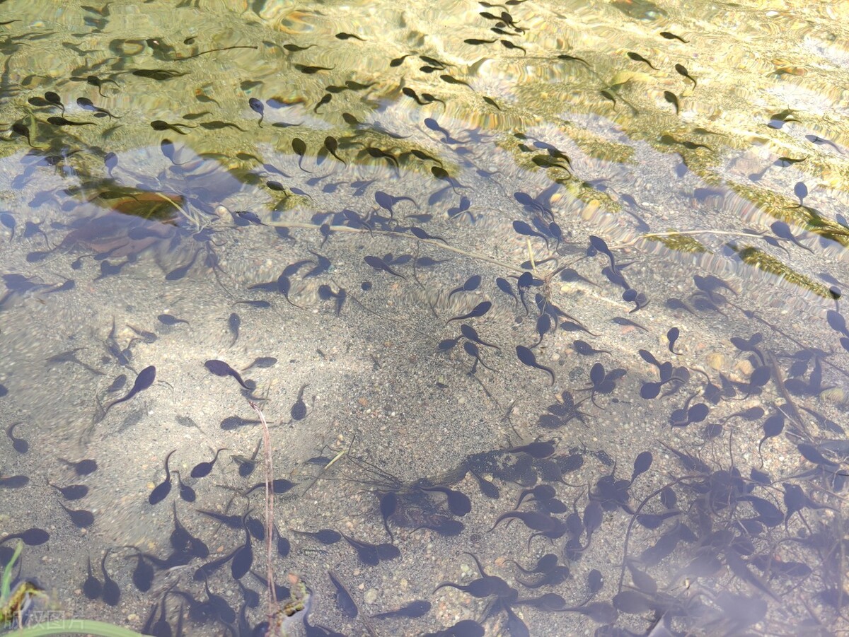 迟迟怀不上，可能是你的精液没成水