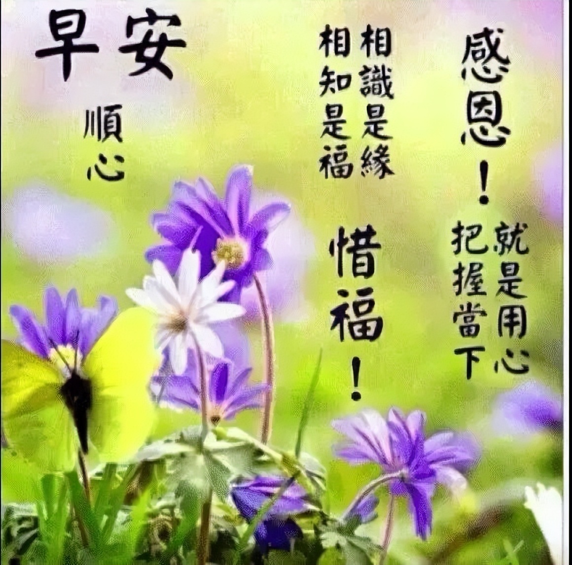 大家早上好祝福语漂亮图片大全知足常乐、平安顺心