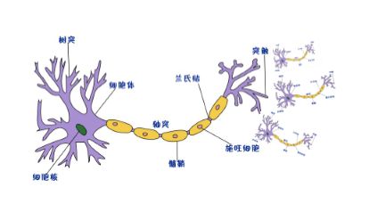 数据挖掘干货总结（十）--神经网络和深度学习