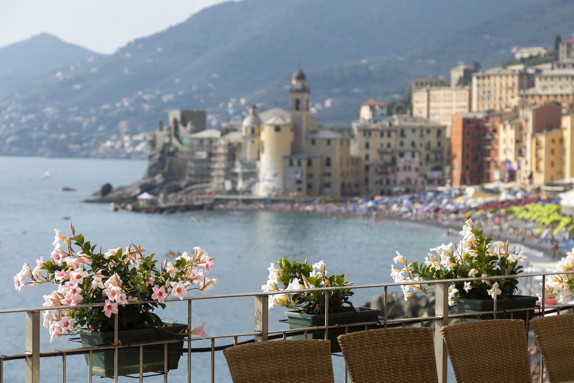 携程trip门店与网上区别,出境游是跟团还是自由行