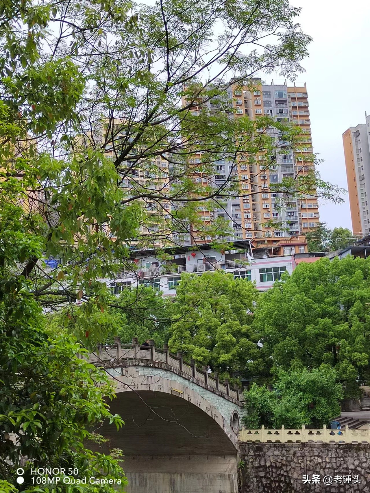 心悦普洱茶,心悦清补凉