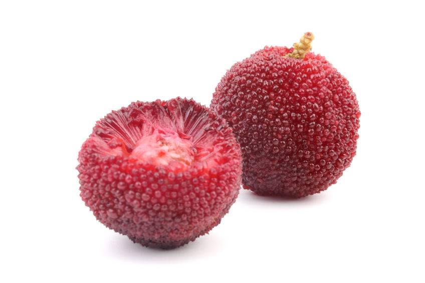 中国杨梅60元一颗出口迪拜杨梅,迪拜80元一颗杨梅