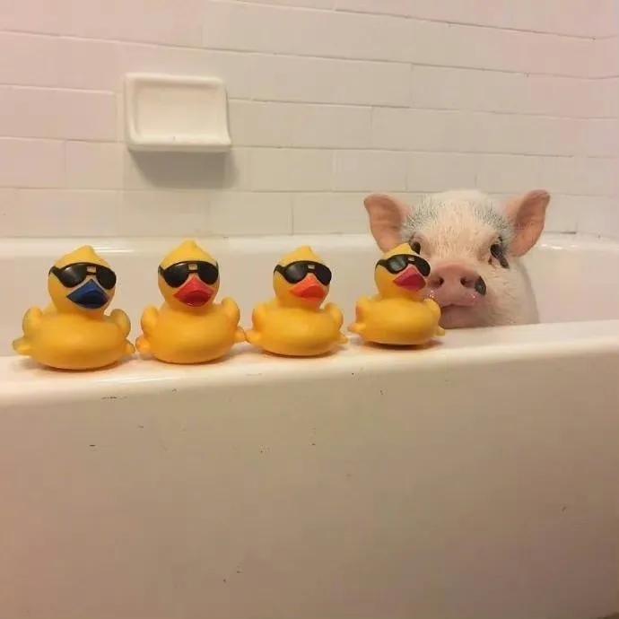 爱迎万难文字封面背景图,因为喜欢可迎万难背景图