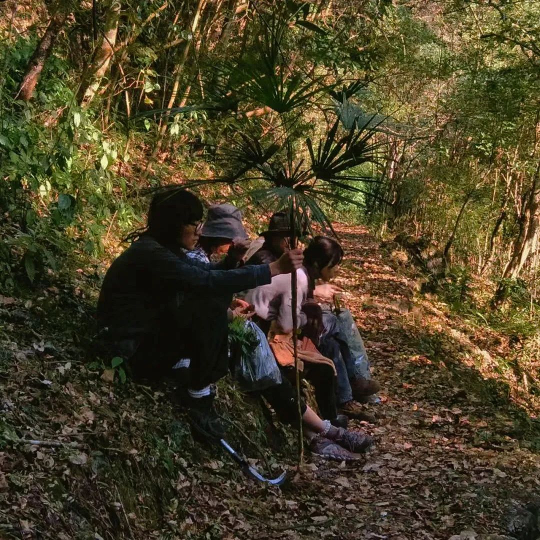 他在贵州租下200亩山谷，95后纷纷投奔：过不花钱的日子，很快乐