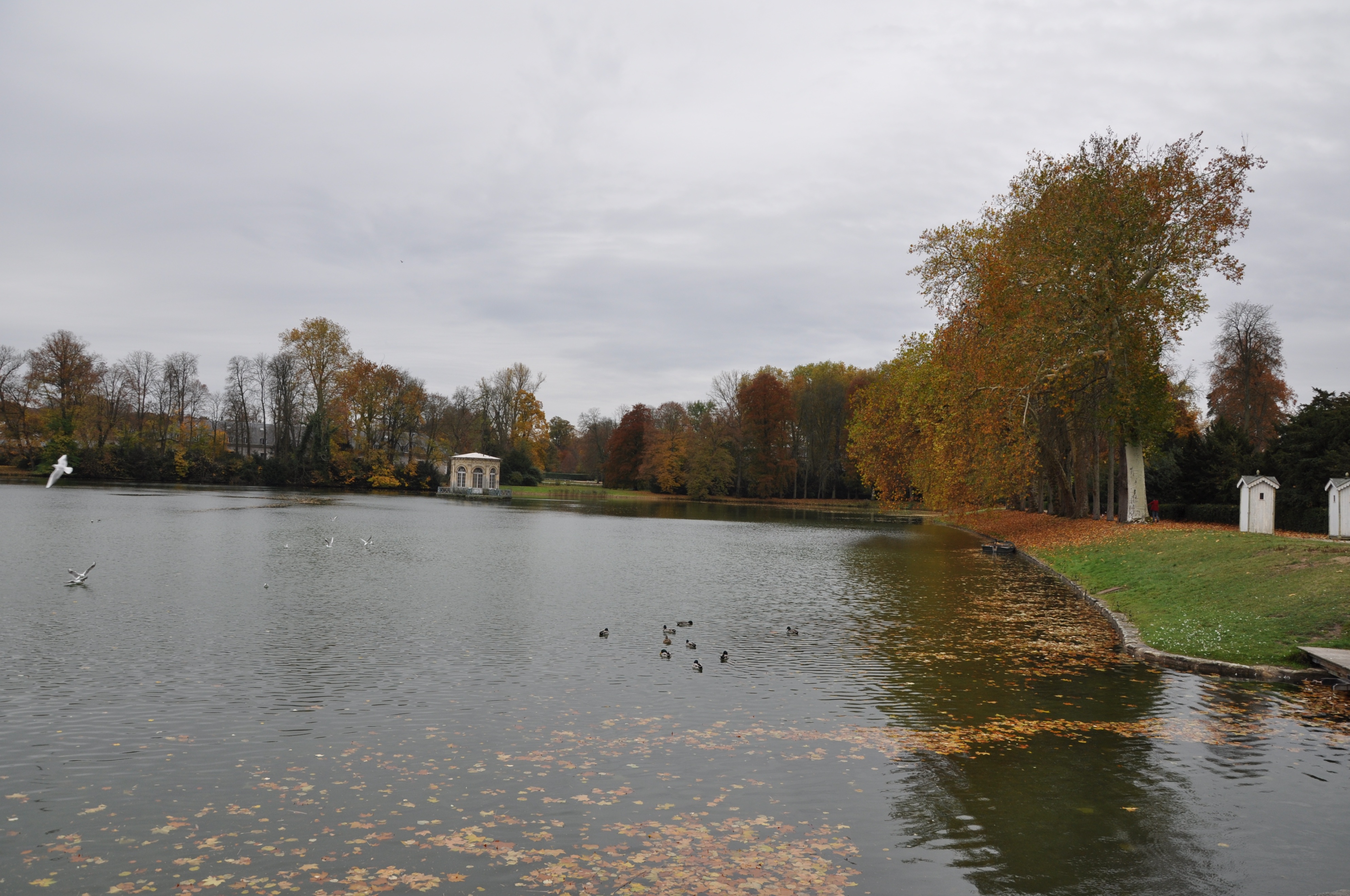 枫丹白露宫名字由来,枫丹白露宫殿俯视图解
