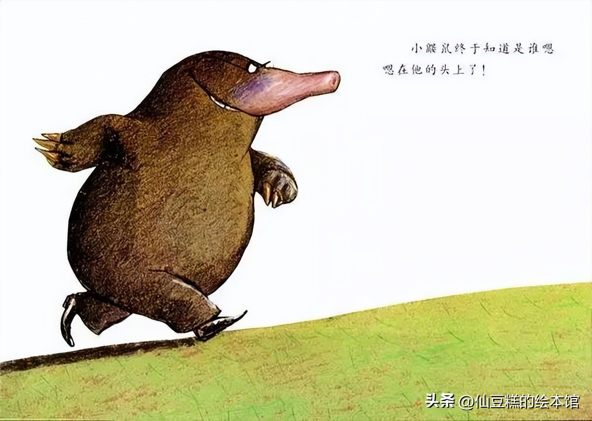 绘本阅读引导小朋友学会面对生气,适合2-3岁小孩阅读的绘本