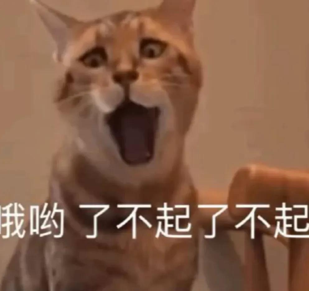 怎么怼无脑喷子,教你怎么霸气怼人