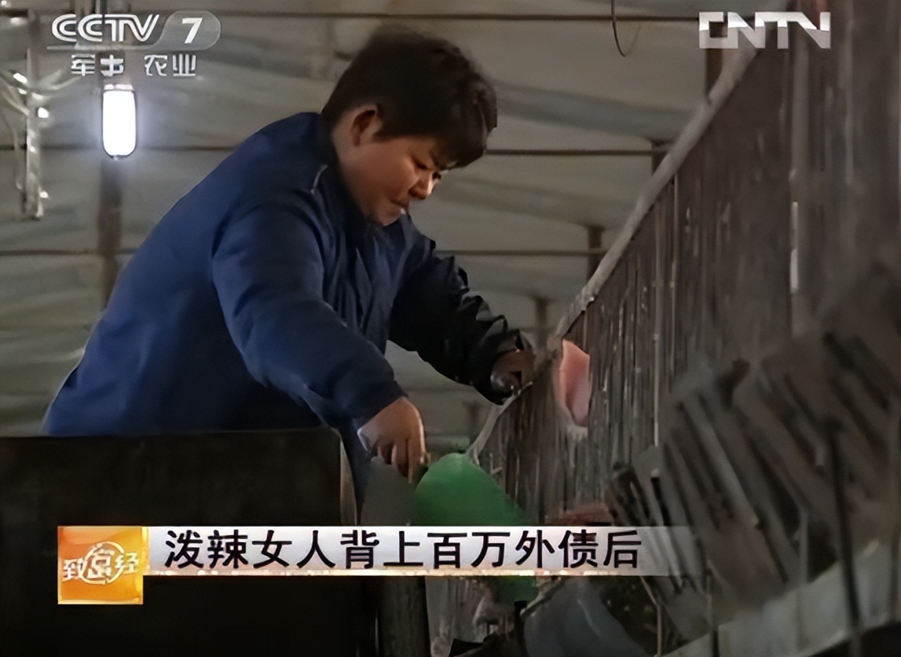 娌冲崡鍏荤尓澶у,娌冲崡澶у鍏荤尓