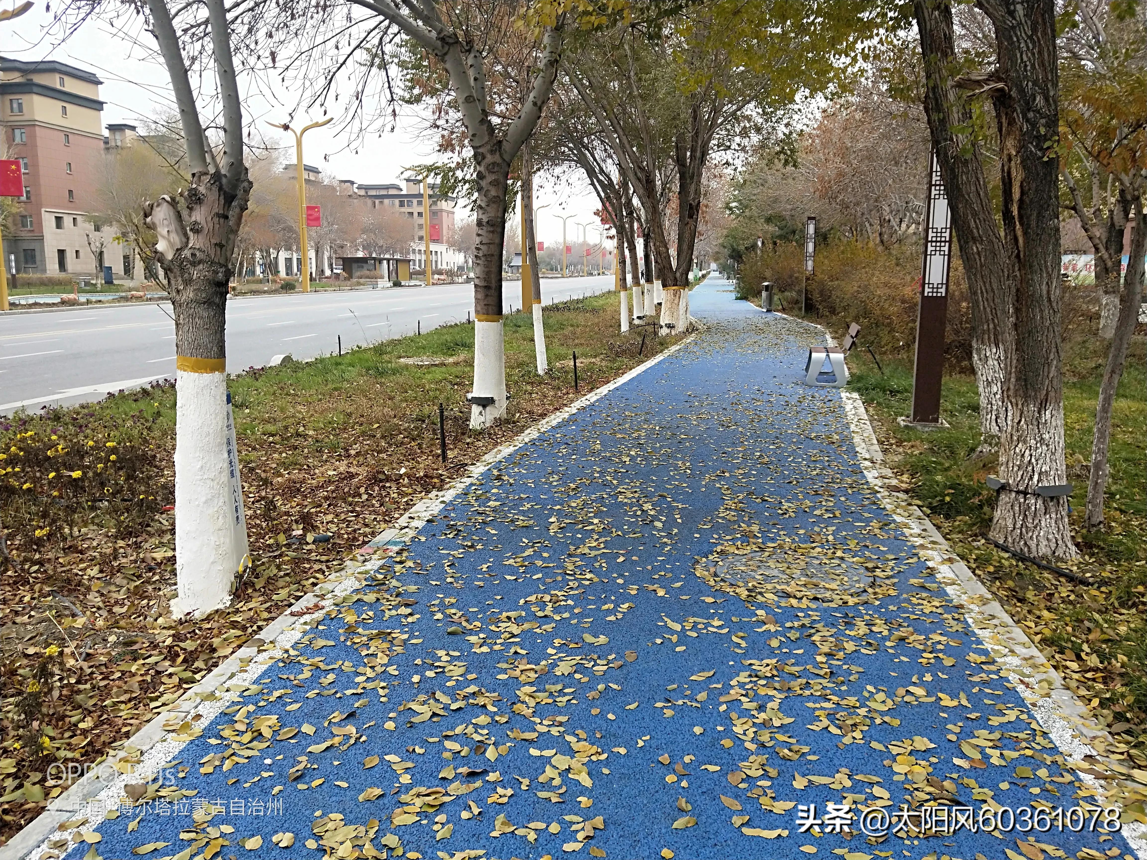 如何应对猜疑与欺骗,消除隔阂最好的办法沟通