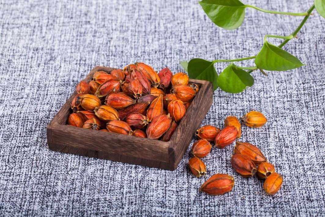 经常喝黄芪水对身体有哪些危害,黄芪水喝多了有哪些副作用