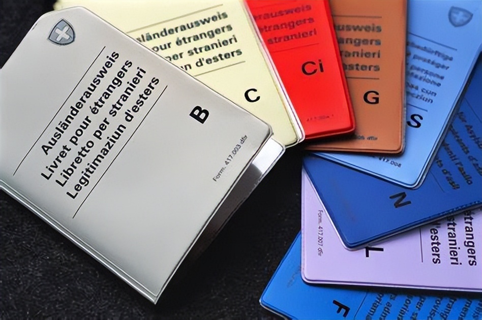 瑞士居留卡如何获得,瑞士移民申请攻略
