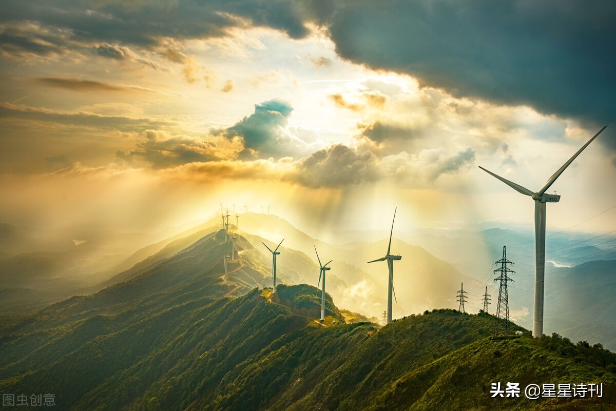 2022短诗大赛,2021年短诗大赛