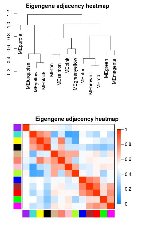 什么是wgcna分析,wgcna是分析什么的