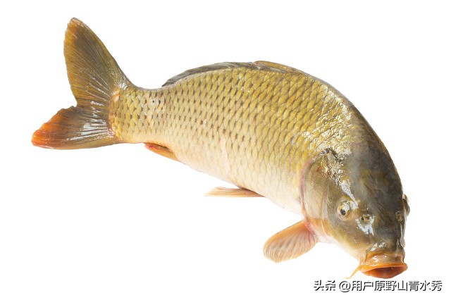 赌博人生合集,赌博人性