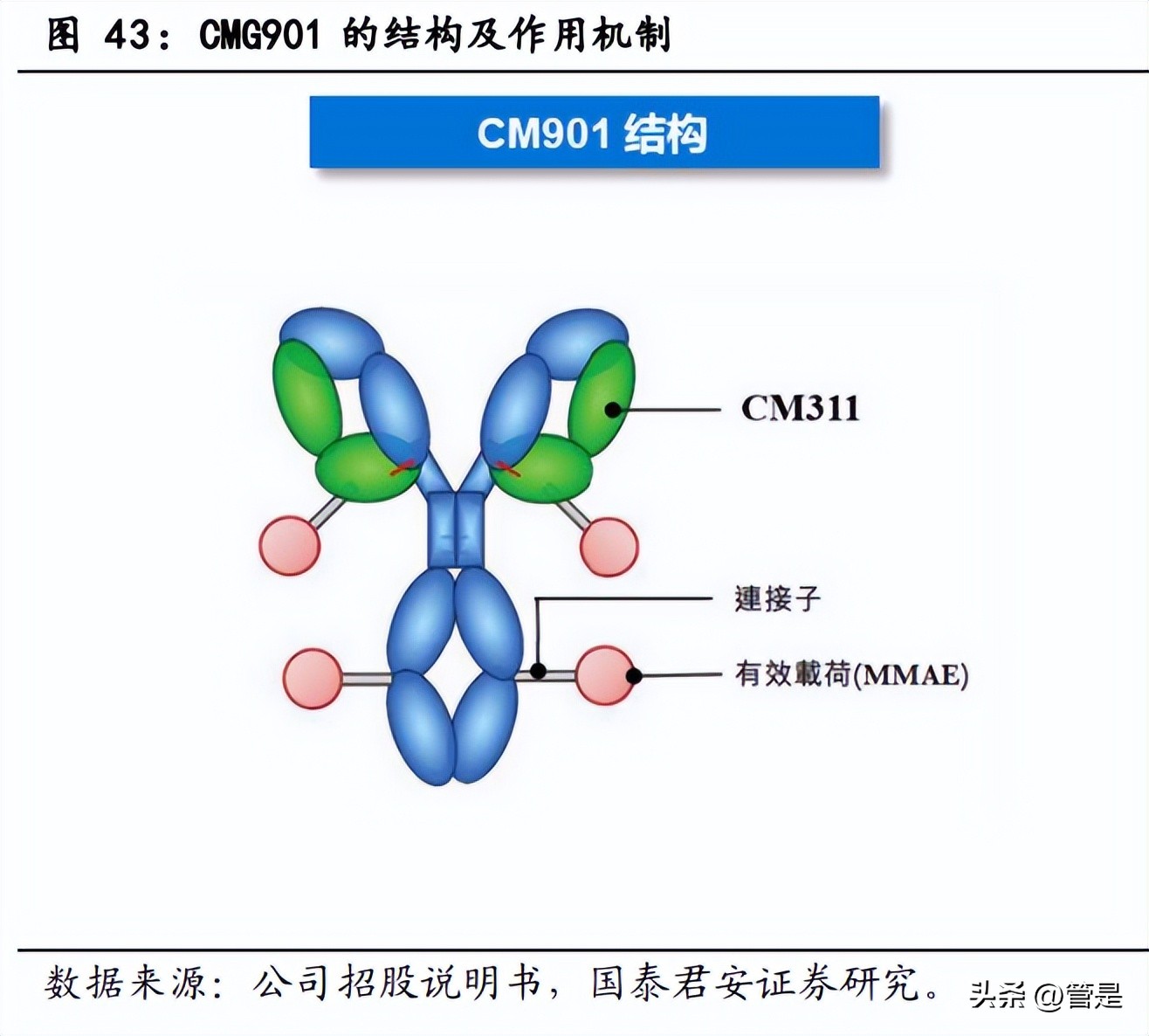 康诺亚生物制剂,康诺亚深度分析