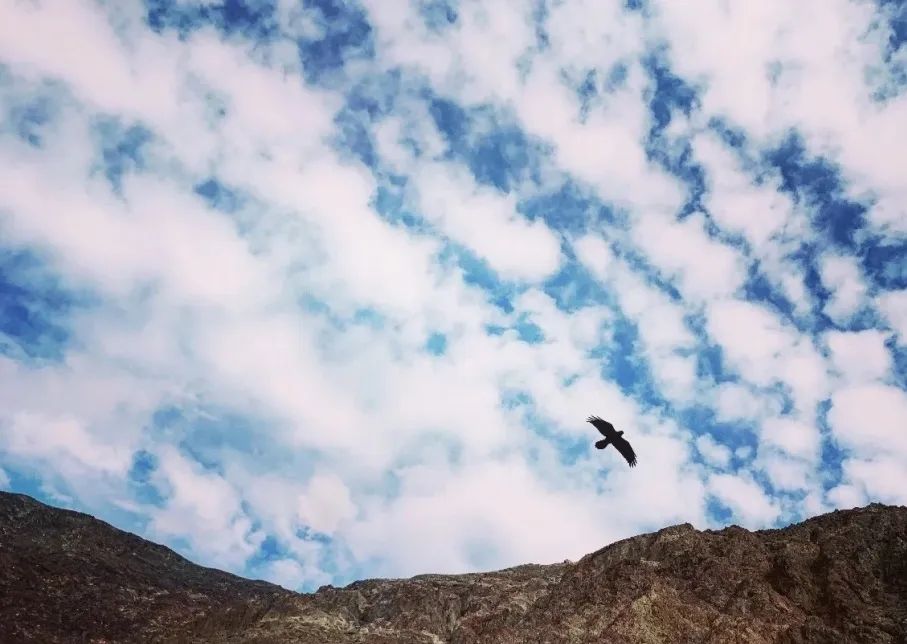 避开人潮的最佳角落,避开人潮打卡的地方