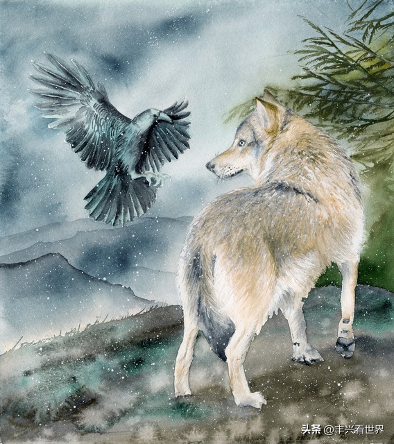 足球场就是人生场,别被轻易带节奏