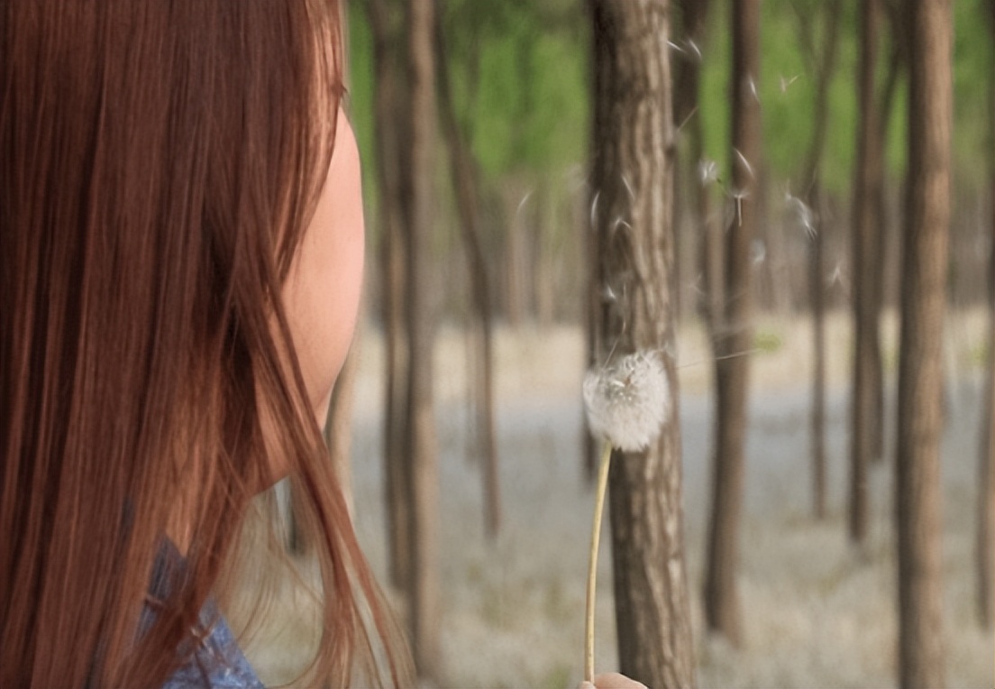 蒲公英会降血糖吗,蒲公英车前草的抗癌功效与作用