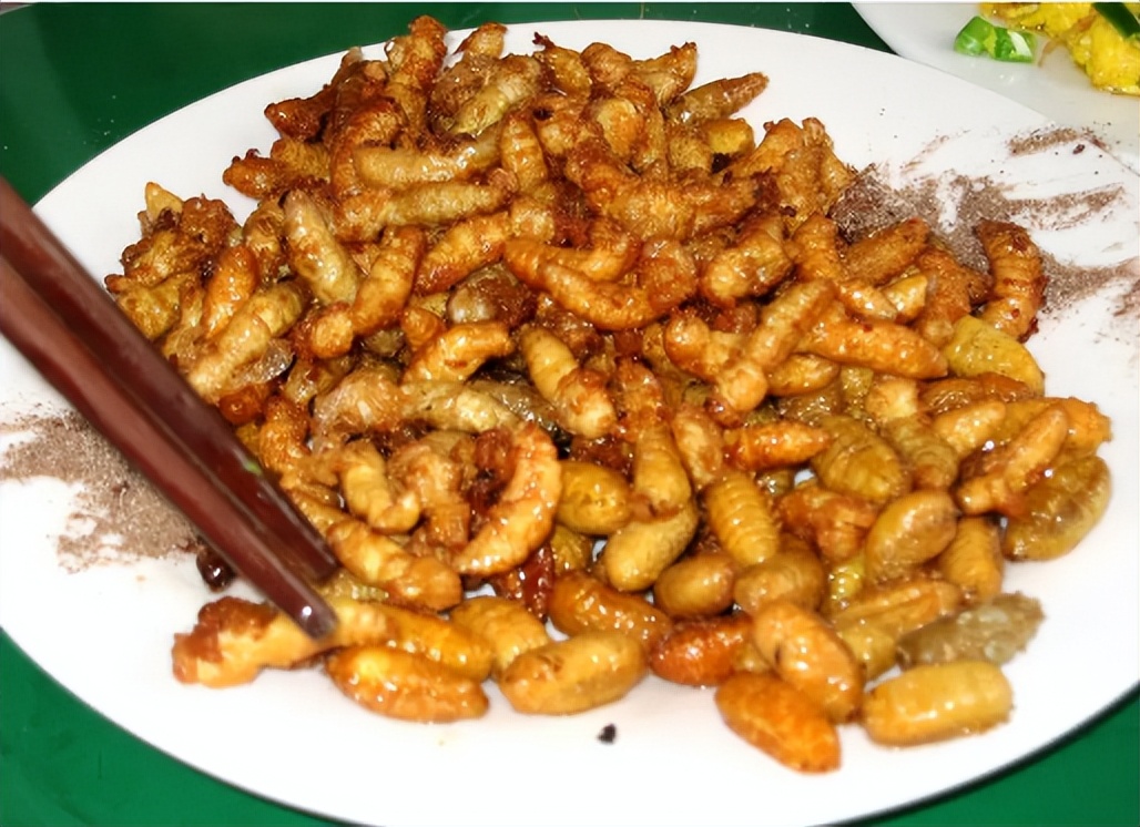 杀人蜂和胡蜂还有大黄蜂谁厉害,杀人蜂厉害还是胡蜂厉害