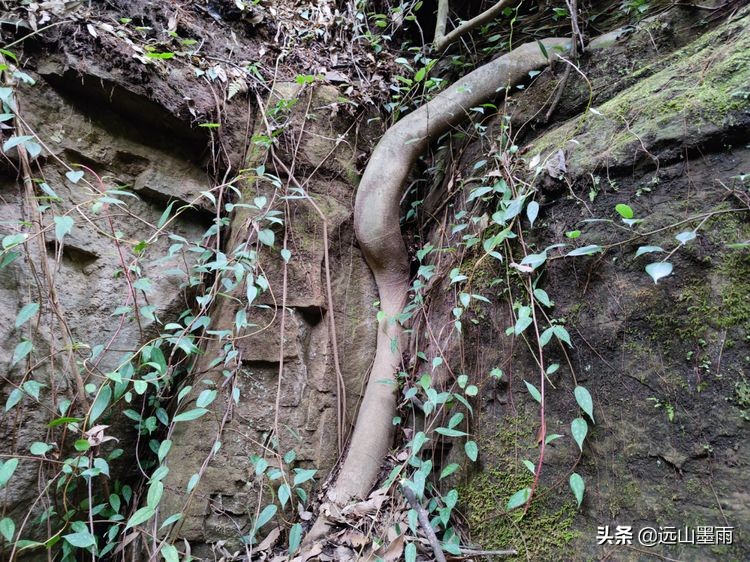 逛天坑、探叮呤当啷洞，去昆明安宁徒步，总有很多惊喜