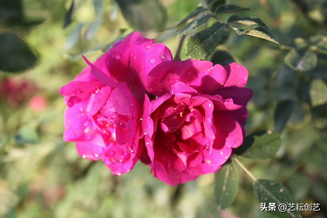 全国农产品产地分布图,甘肃省特色农产品有哪些