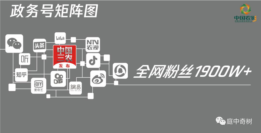 网信办表扬的抖音账号有哪些,中央网信办上榜百个抖音