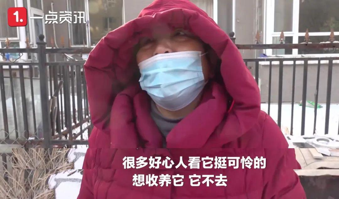 当我想起你的时候歌单,当我想起你的时候嘴角上扬