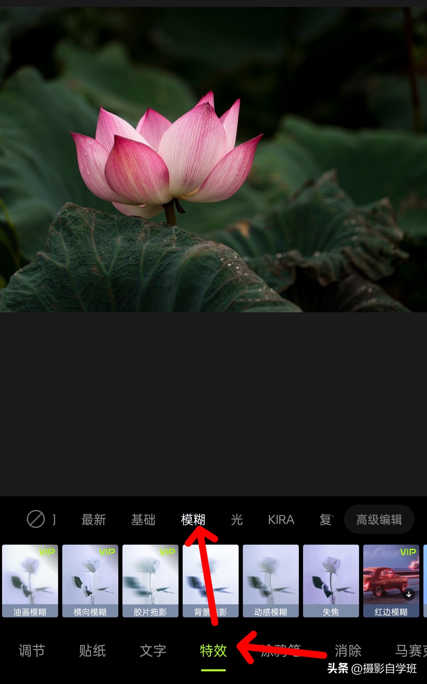 如何拍摄荷花多重曝光相片,如何拍好荷花逆光照片