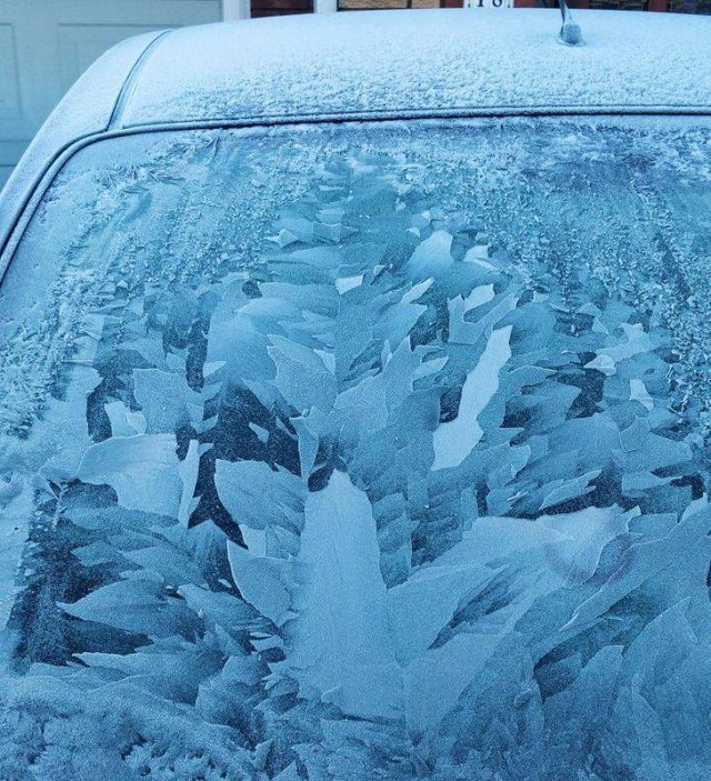 美丽的大自然的作文,美丽的大自然现代诗