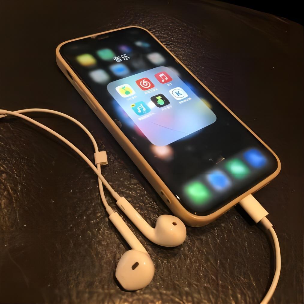 applemusic音质,applemusic与网易云无损哪个好