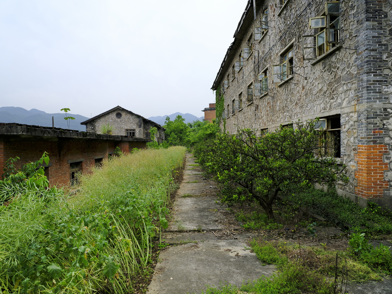 宜都717三线工厂,宜都717厂历史