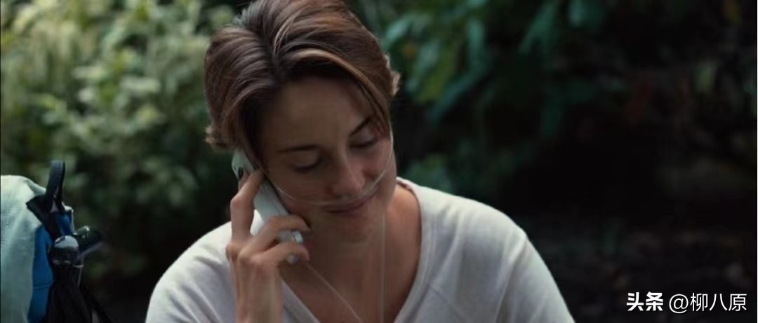 星运里的错美国电影简介,星运里的错电影解析