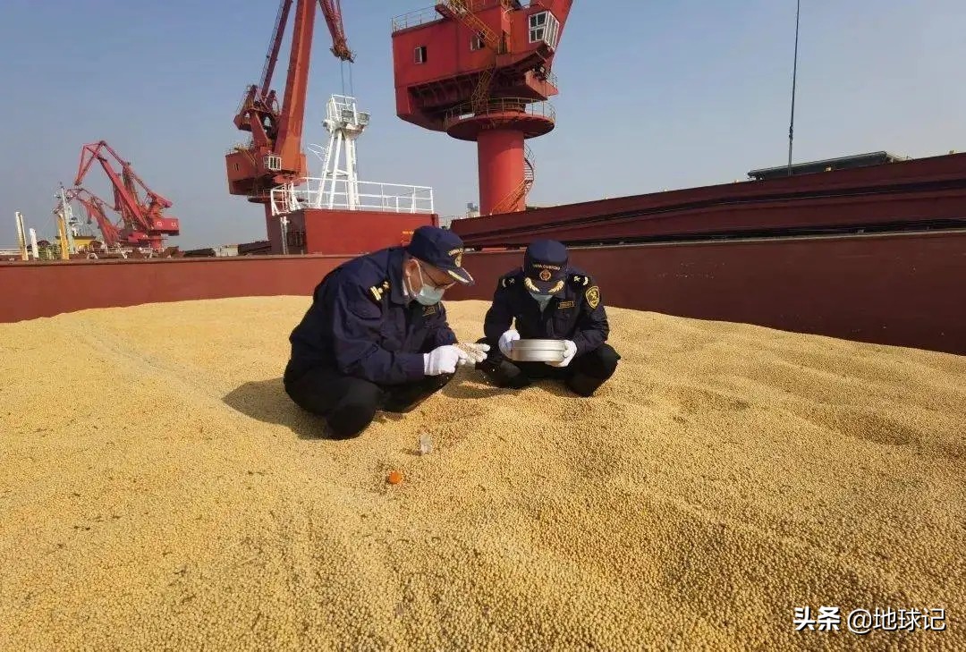 为什么印度这么多人口还出口粮食,印度为什么出口粮食便宜国内贵