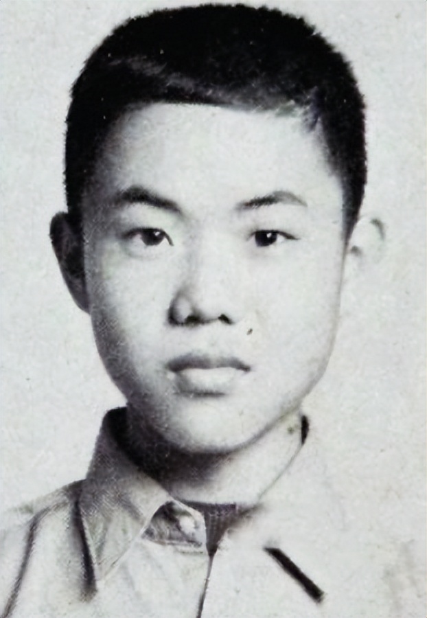 金星调侃张大大完整版,金星老师谈张兰大s事件