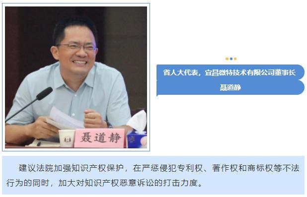 代表委员对法院工作的意见建议,法院听取人大代表建议和意见