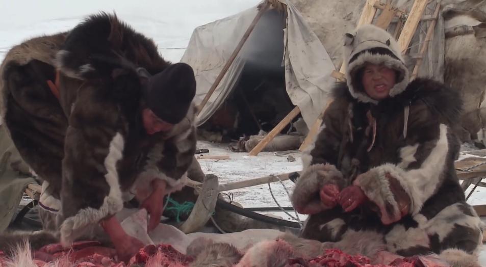 俄罗斯牧民有多少钱,俄罗斯鄂温克人饲养驯鹿