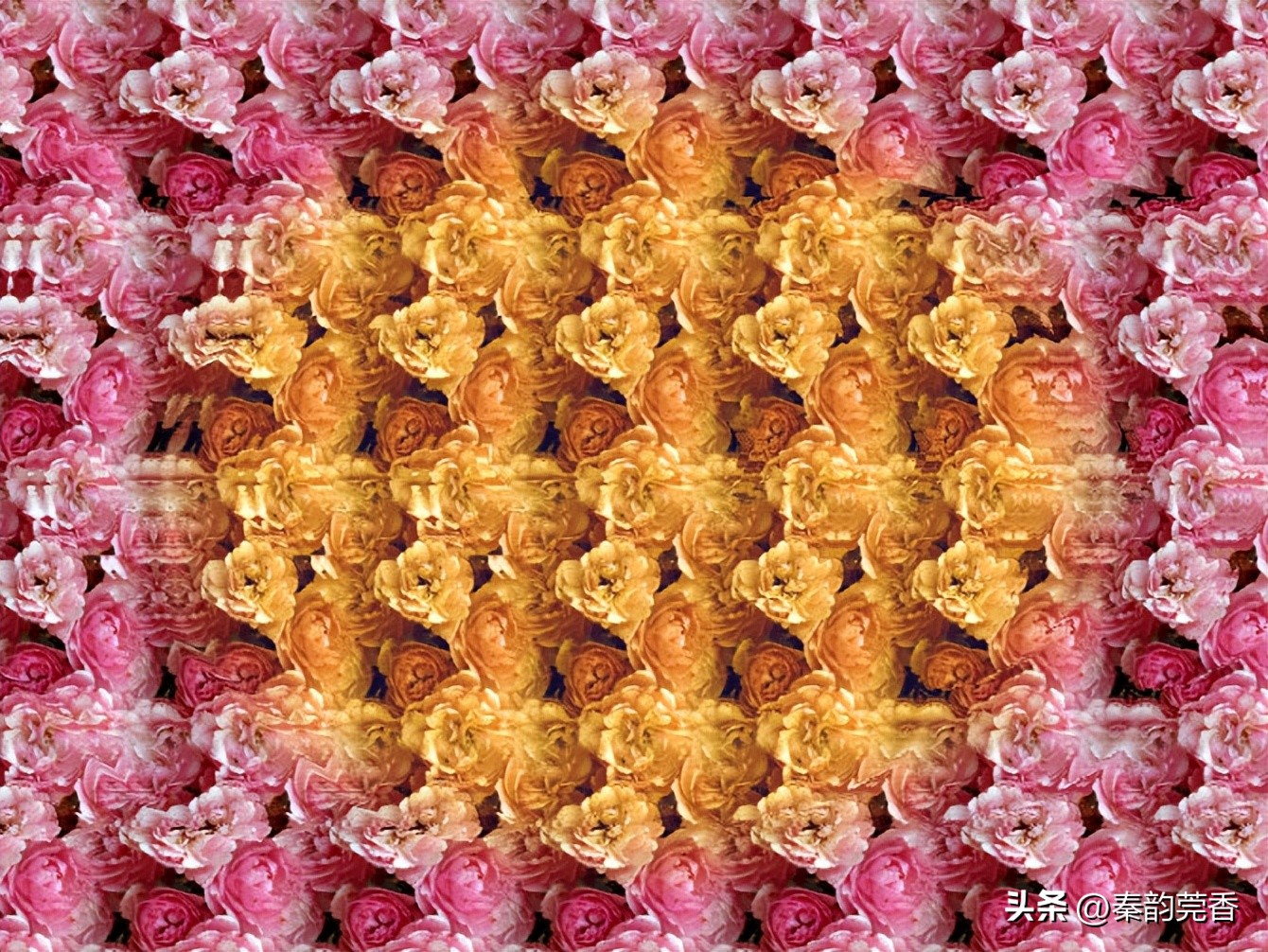 三维立体图能发现什么,三维立体图找隐藏图片